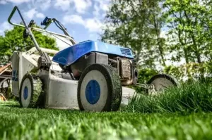 Różnice między kosiarką i pokaszarką - co wybrać?