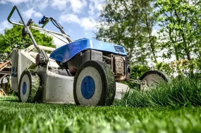 Różnice między kosiarką i pokaszarką - co wybrać?