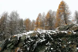 O czym pamiętać budując dom na skarpie?